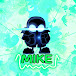 NSS Mike