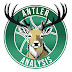 Antler Analysis