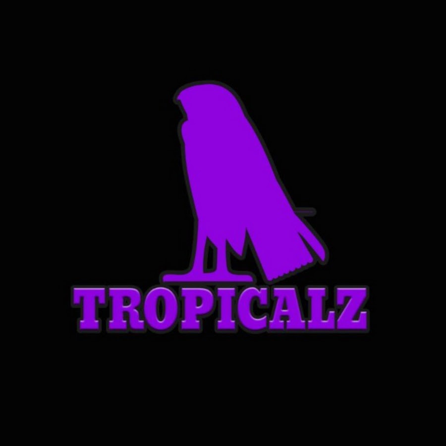 Tropical-Z - YouTube