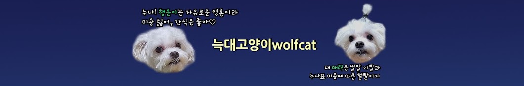 늑대고양이wolfcat