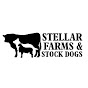 Stellar Farms & Stockdogs