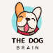 The Dog Brain