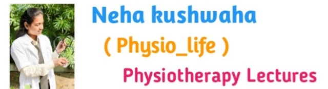 Physio_life