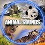 ANIMAL SOUNDS