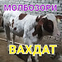 БОЗОРИ ВАХДАТ 08