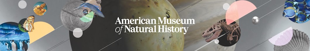 American Museum of Natural History Banner