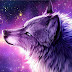 galaxy wolf