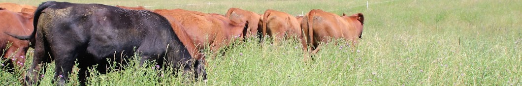 Vermont Grass Farmers Association