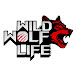 Wild Wolf LifeStyle