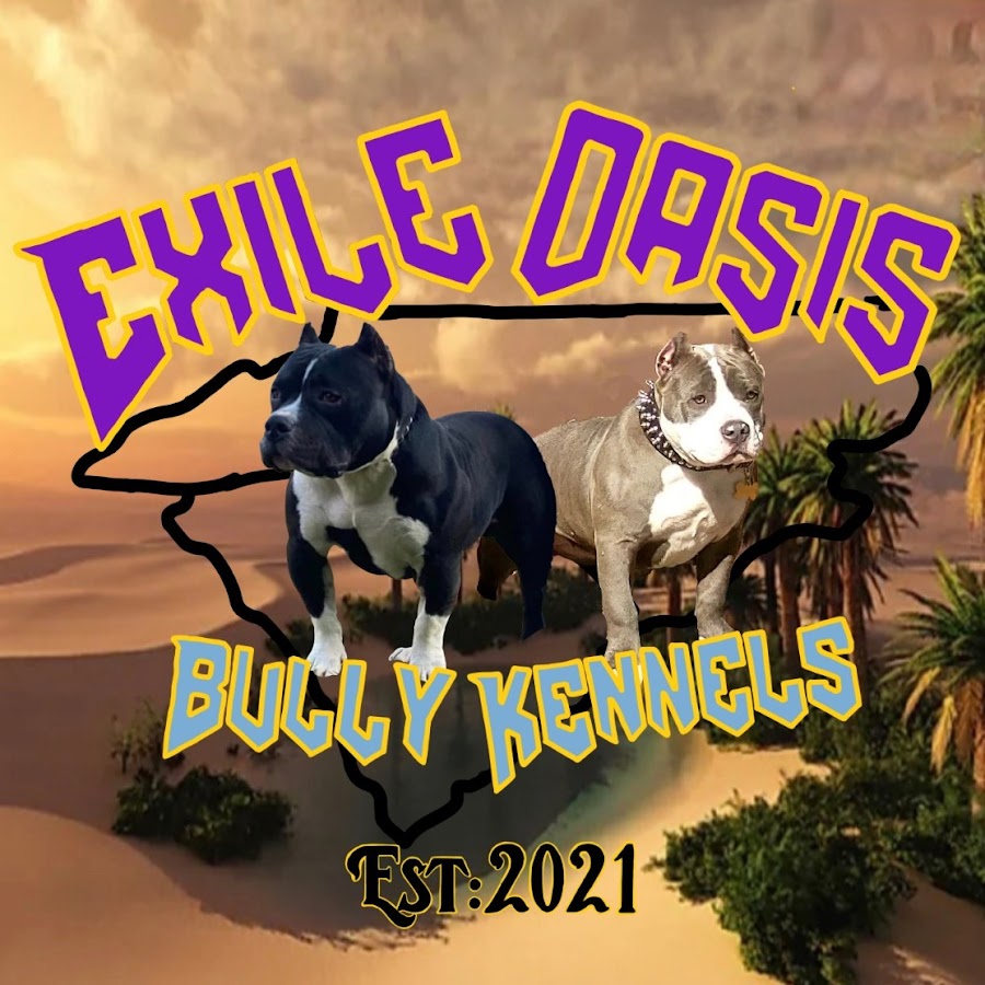 Exile Oasis Bullyz - YouTube