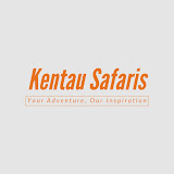 Kentau Safaris