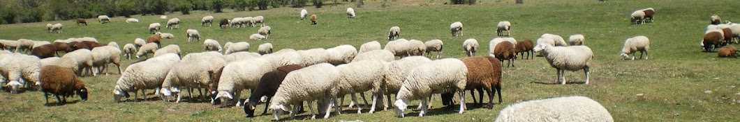 ASAJA Ávila - Jóvenes Agricultores