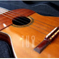 Artist Thumbnail