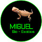 Miguel Bio - Exotics