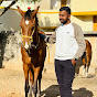 Kutch  Horse Racer 