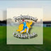 logo Professional Cricket Hub