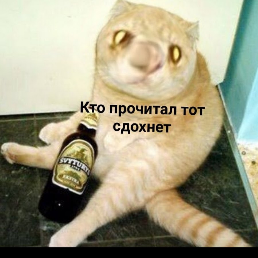 Включи тот