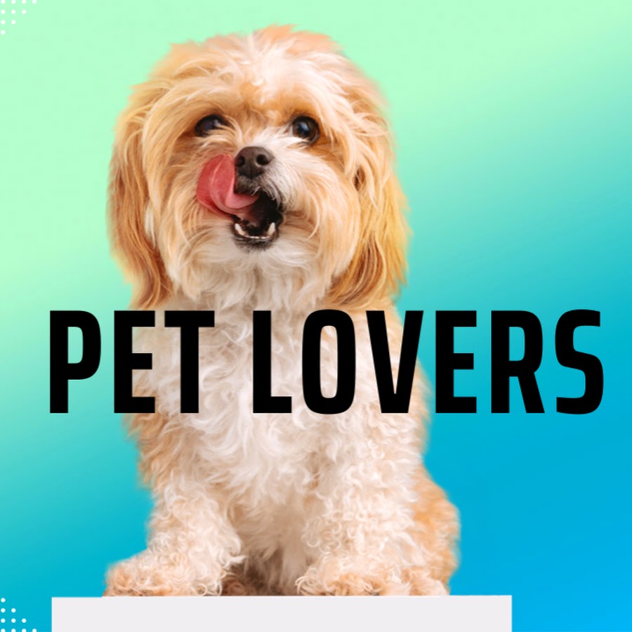 Songs For Pet Lovers