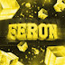 logo FERON