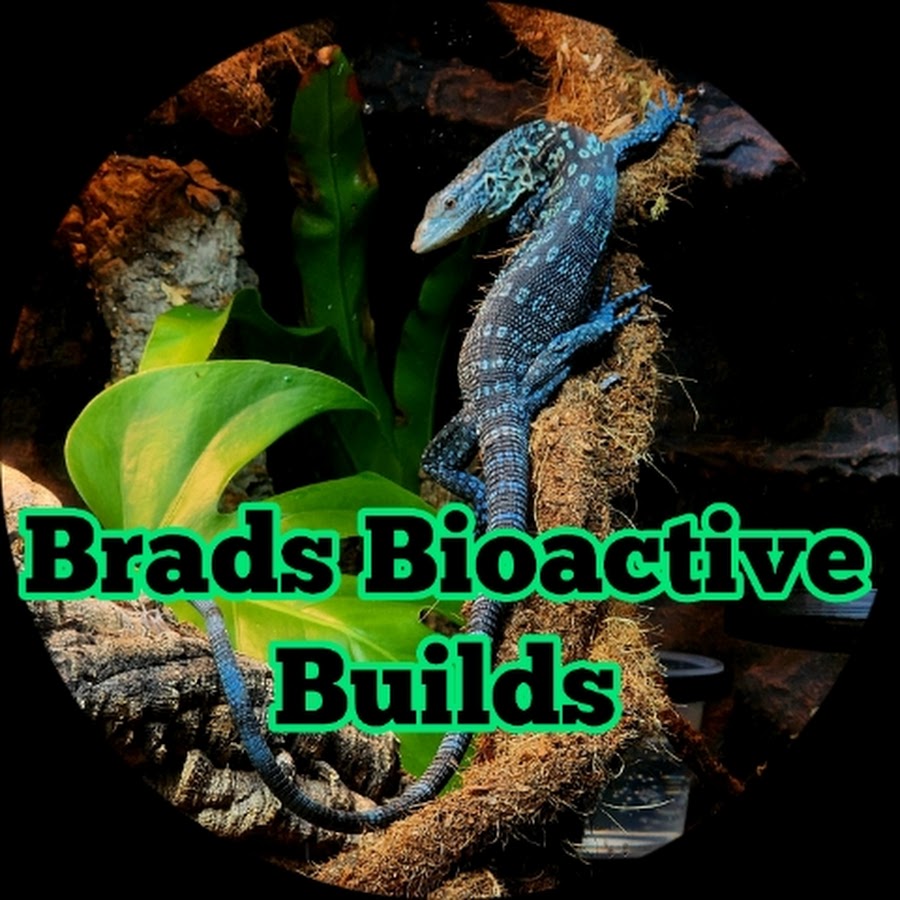 Brads Bioactive Builds