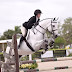 logo Equestrian Edits! 