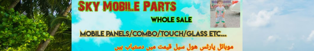 Sky Mobile Parts . 305