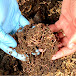 Vermicompost Learn by Doing