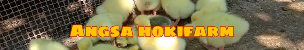 Angsa hokifarm