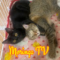 Moringa TV