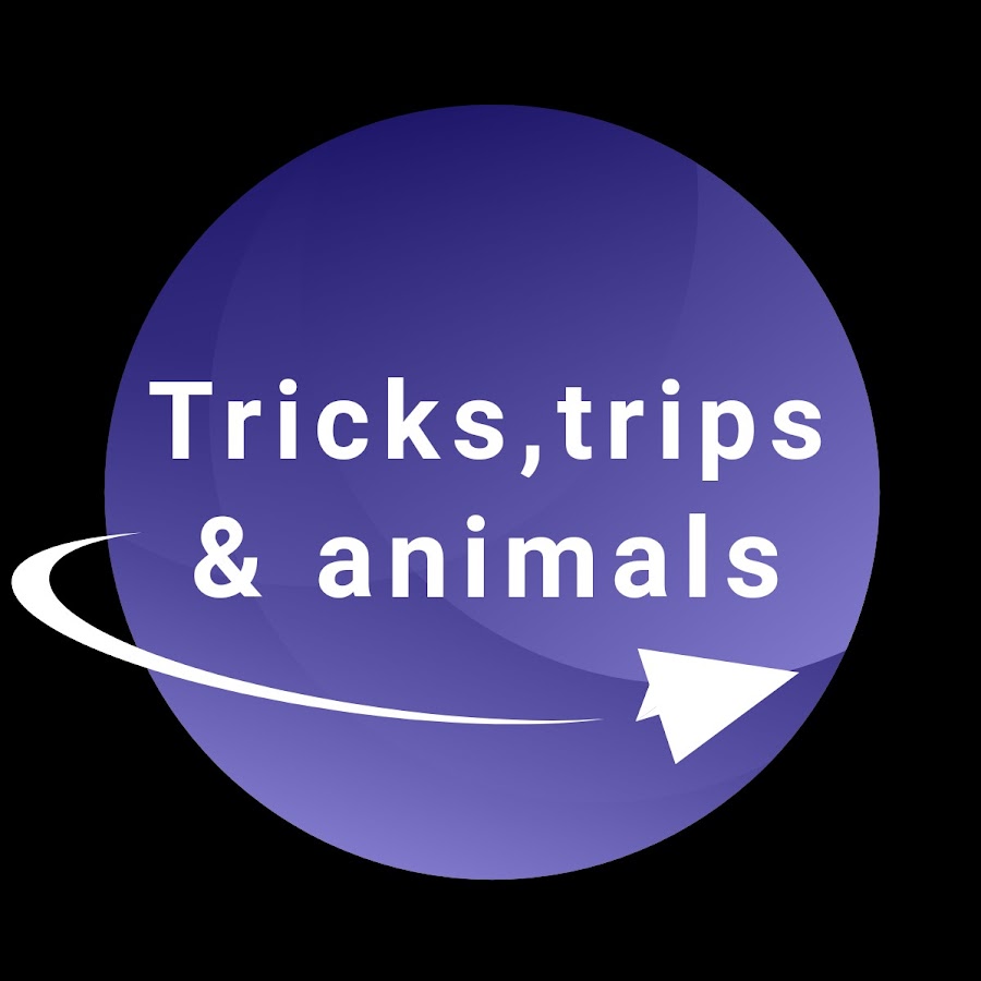 Tricks,trips & animals