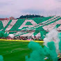 Tribuna Verde