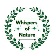 Whispers of Nature 