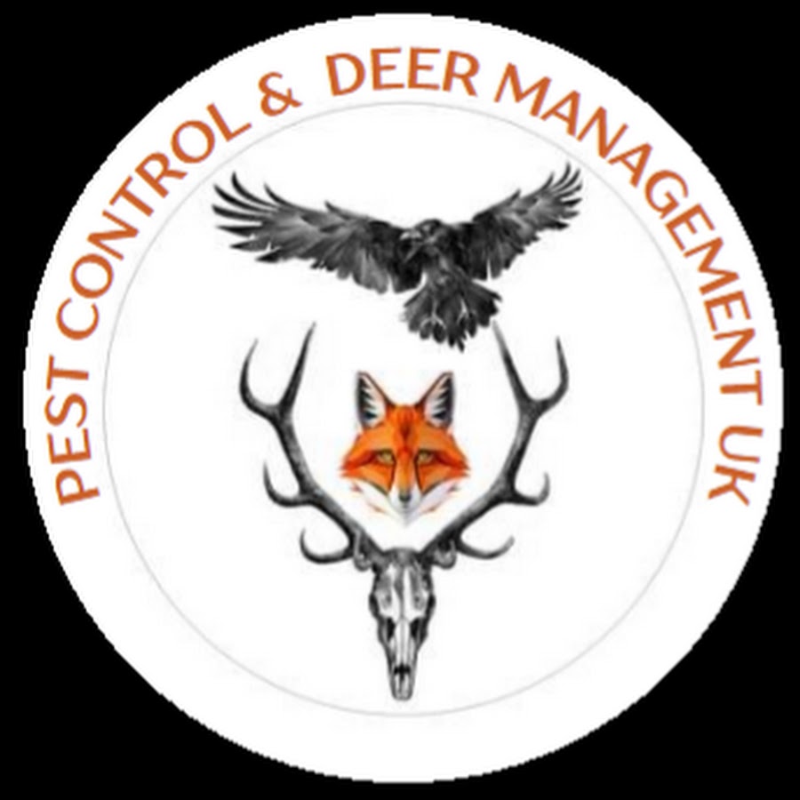 Ready go to ... https://www.youtube.com/channel/UCYGbKIDP8TphMohEq9qcDrw [ Pest control & Deer management uk]