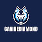 CanineDiamond