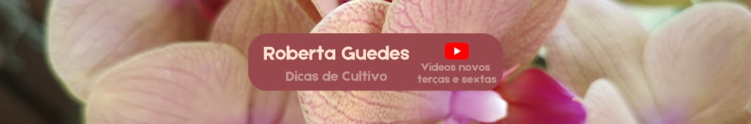 Roberta Guedes - Dicas de Cultivo