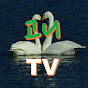 고니TV