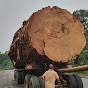Big Wood Tree