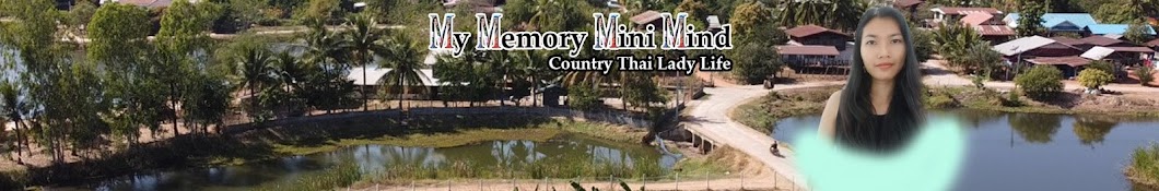 My Memory Mini Mind Banner