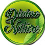 Divine Nature