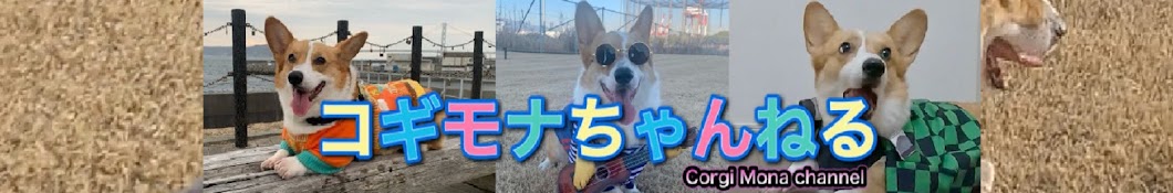 コギモナちゃんねる【Corgi Mona Channel】