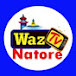 Waz Tv Natore