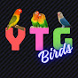 YTG Birds