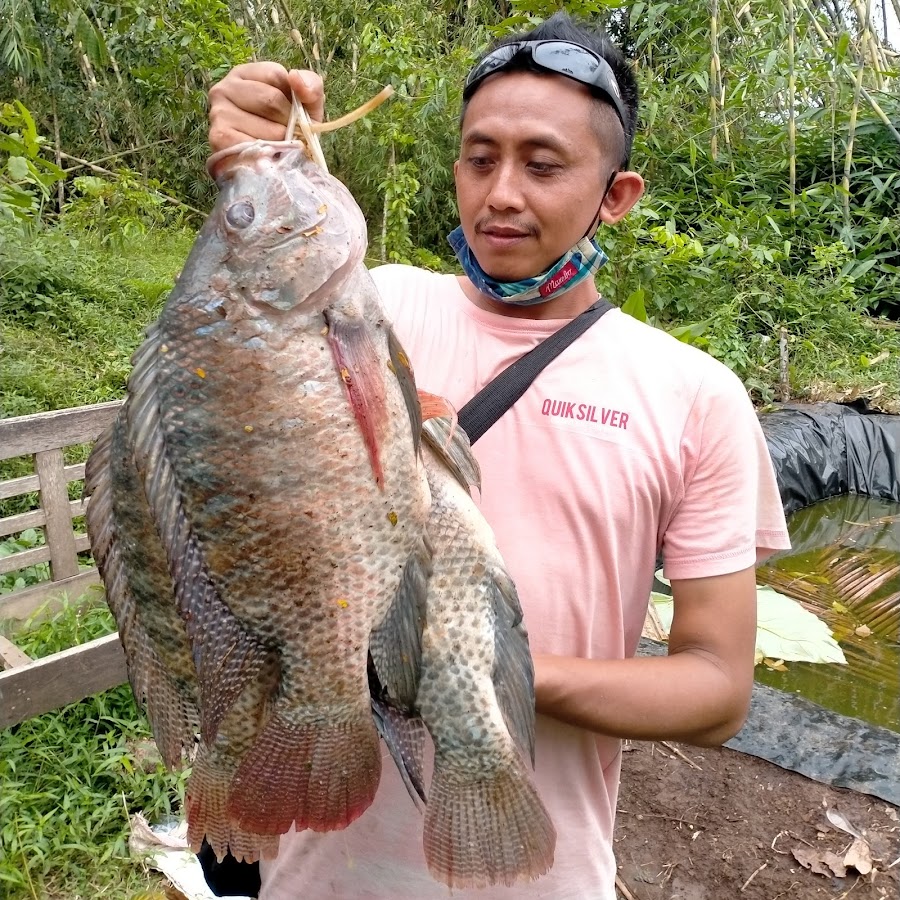 Kloyong Mancing