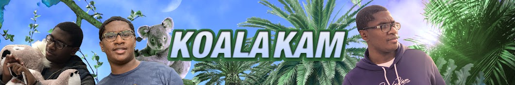 KoalaKam Banner