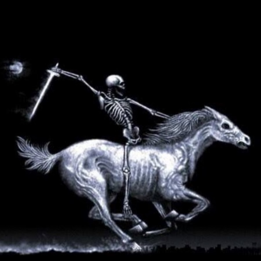 Скелет коня