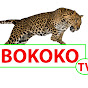 BOKOKO TV