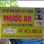 CÂY GIỐNG PHƯỚC AN 