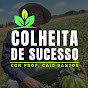 Colheita de sucesso