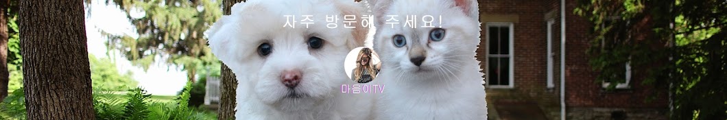 마음이TV