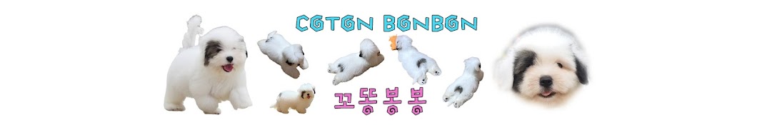 꼬똥봉봉 cotonbonbon